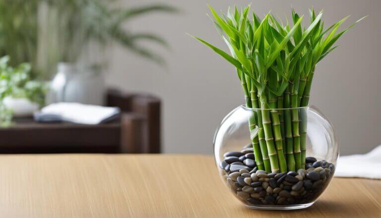 decorating with lucky bamboo